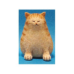 Adorable Chubby Cats - Needle Felting Wool Kit